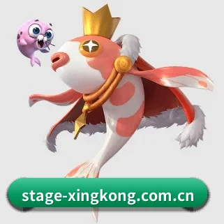 星空官网入口 APP