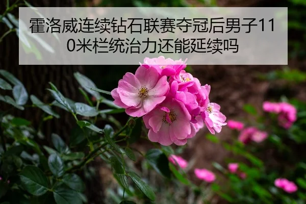 霍洛威连续钻石联赛夺冠后男子110米栏统治力还能延续吗